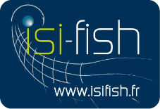 isi fish logo avec le fond - Home